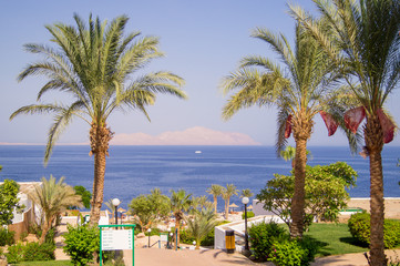 Fototapeta na wymiar Sea view with palms on sunny beach 