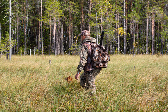 hunter with dog on the swamp on autumn hunting