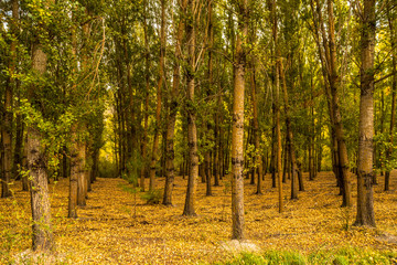 Merendero Aguas Blancas