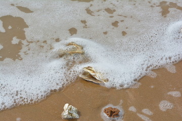 Fundsachen am Strand