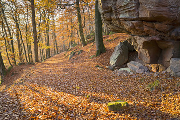 Herbstsonne im Biosphärenreservat Pfälzerwald