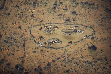 Fototapeta na wymiar Aerial view of Masai village in nature's circle and goat herds near Lewa Conservancy, Kenya, Africa