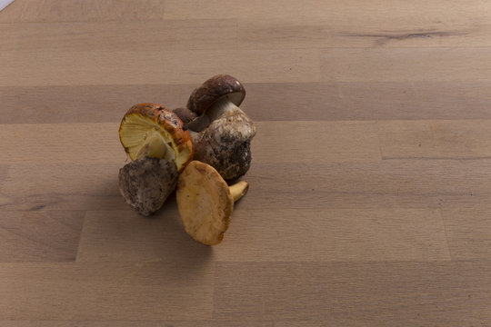 wild mushrooms