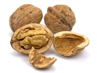 Walnüsse - Juglans regia