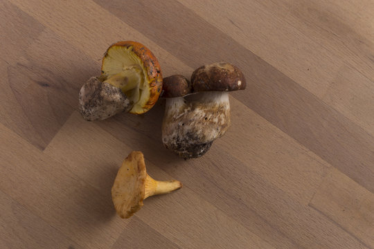 wild mushrooms