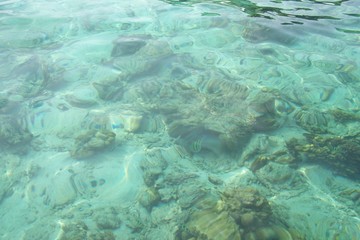 Fototapeta na wymiar Meer Unterwasser / Ko Mai Phai oder auch Bamboo Island