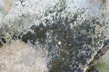 Texture