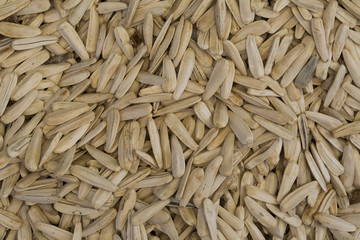 Sunflower seeds