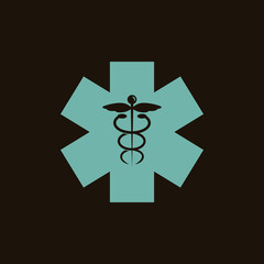 Medicine emblem icon