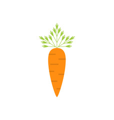 Ripe Carrot Isolated