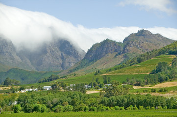 Fototapeta na wymiar Clouds cover mountains in Stellenbosch wine region, outside of Cape Town, South Africa