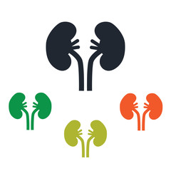 Human kidneys icon