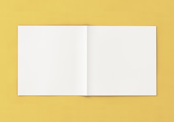 Flyer Broschüre weiss gefalten