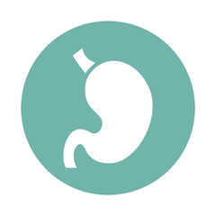 Human stomach icon
