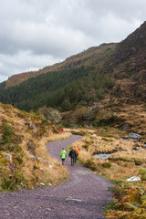 Fototapeta premium hikers walking through Killarney national park