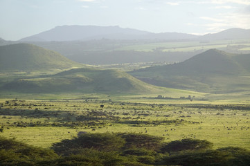 Obraz premium Panoramic view of Lewa Wildlife Conservancy after much rain in North Kenya, Africa