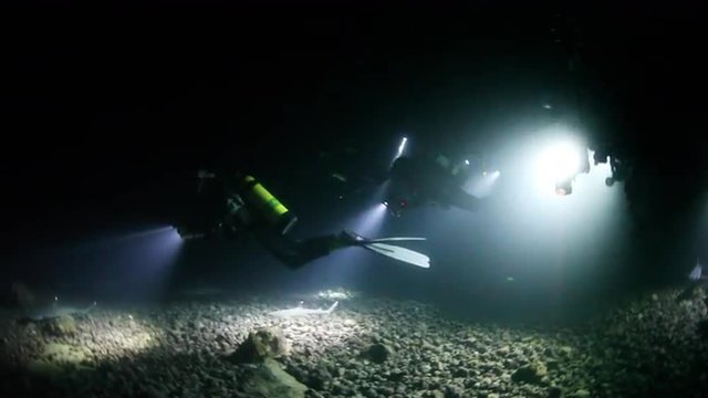 Scuba Divers and Sharks at Night