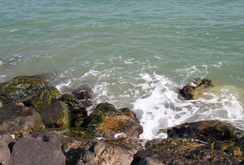 Море. Камни, волны, пена