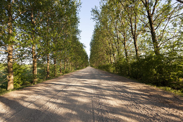 Fototapeta na wymiar road in the countryside 