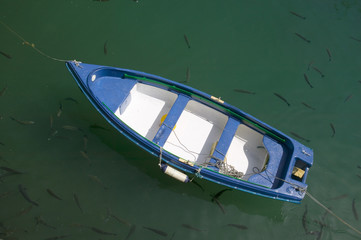A fishing row boat is surrounded by fish in Donostia-San Sebastian, Basque region of Spain, the Queen of Euskadi's and Cantabrian Coast