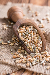 Cereals (wheat, rye, barley, oat and millet)