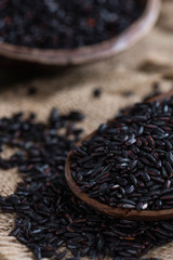 Black Rice