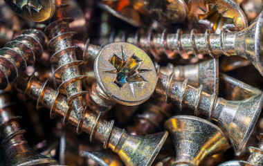 Close Up Of A Collection Of Woodscrews 2