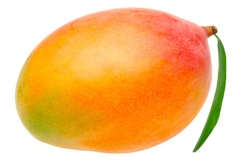Mango isolated on white - 94881546