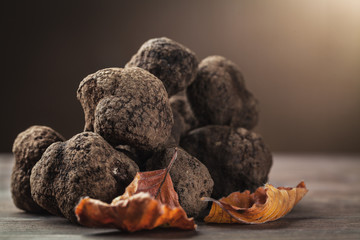 mushroom black truffle - obrazy, fototapety, plakaty