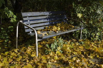 Lonely bench in the autumn