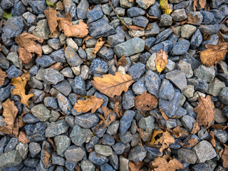 Fall leaves and stones
