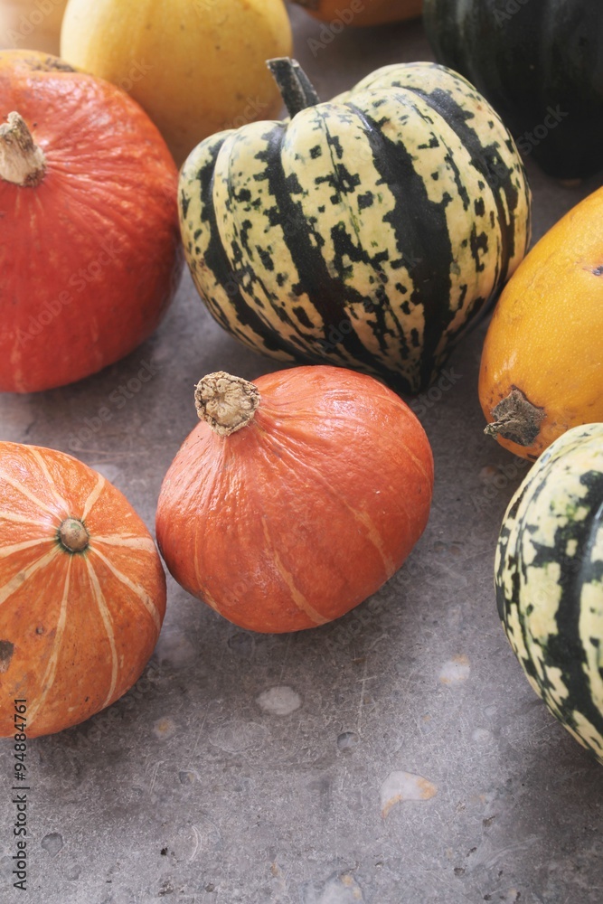 Sticker squash vegetable selection