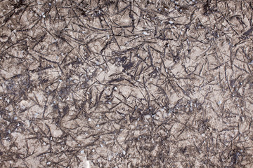 frozen mud and ice-covered road texture. brown road after the first frost of frozen dirt, black ice and water
