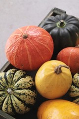 squash vegetable selection