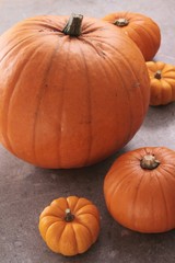 pumpkin selection