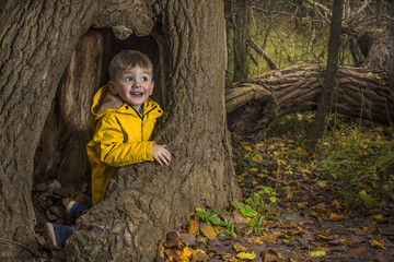 Plying in the dark autumn forest
