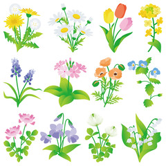 春の花　いろいろ