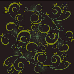 patr&oacute;n vegetal 