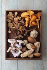 wild mushroom selection