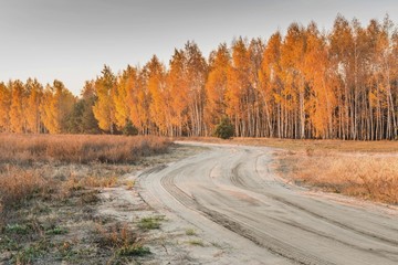 Fototapeta premium Осенний пейзаж