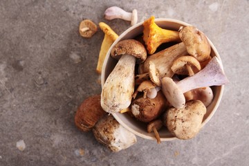 wild mushroom selection