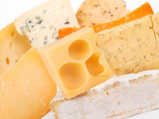 Cheese still life