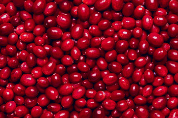 Fresh cornel berries background - texture
