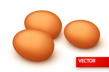 group of eggs