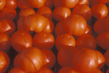 Tomatoes at a fruit stand in White Pigeon, MI