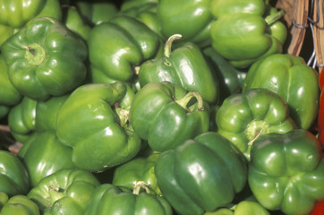 Close up of Green Peppers
