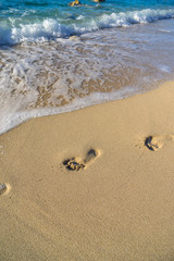 Footprints near the shoreline in the sand