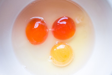 raw eggs in a bowl