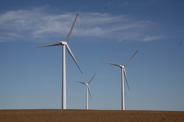 Electric Wind Turbines stand against the sky in Western Kansas