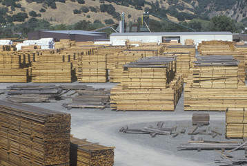Cut lumber stacked at a lumber mill in Willits, California